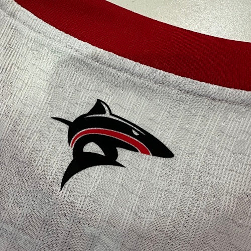 Croatia Third wc 2026